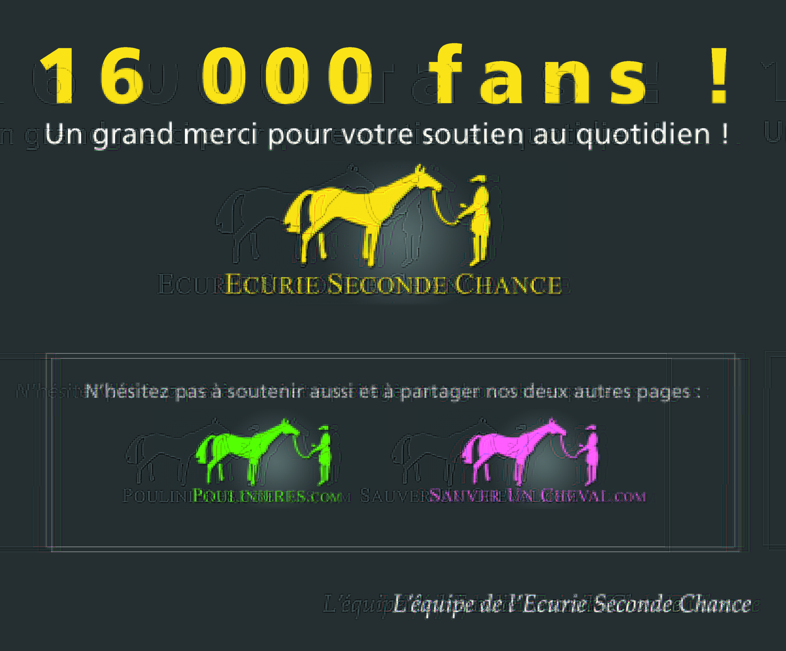 Déjà 16 000 fans sur notre page Facebook !