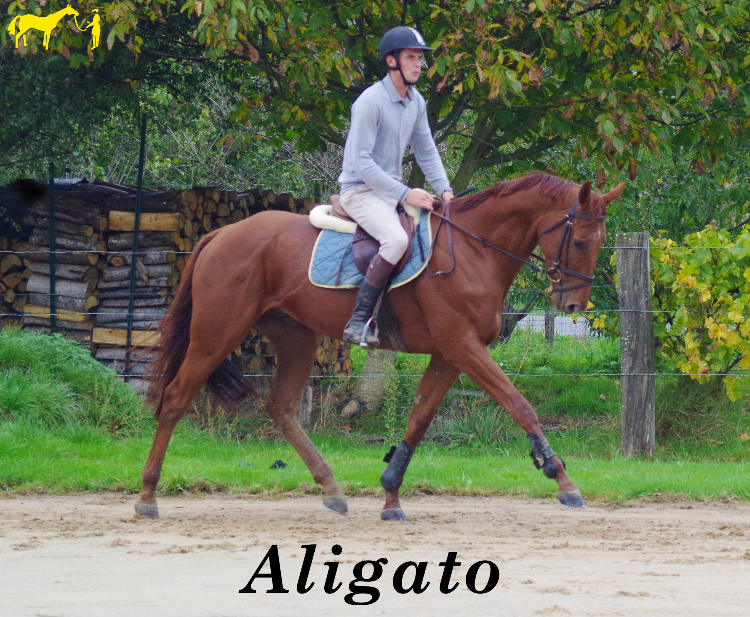 Découvrez la vidéo d'Aligato au travail !