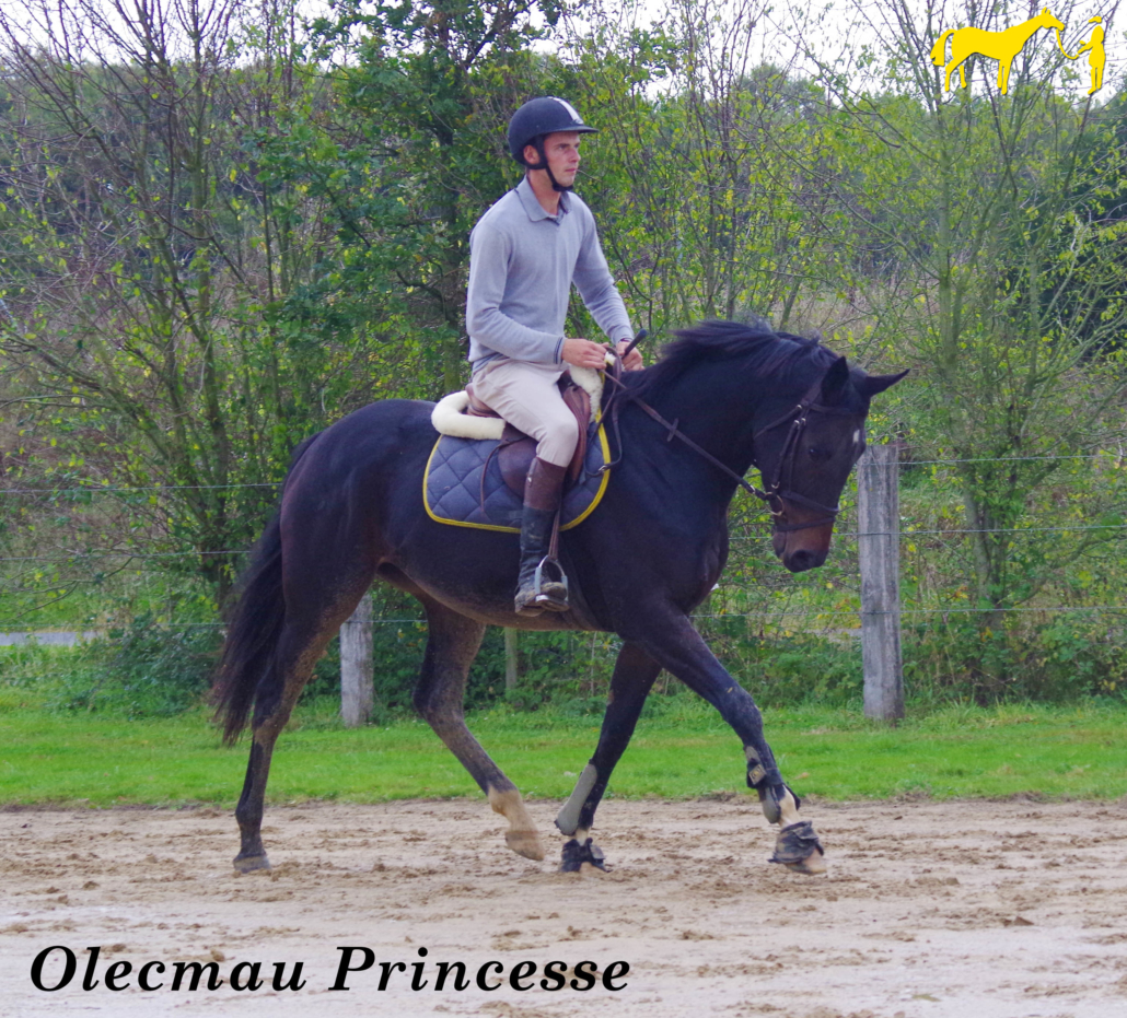 Découvrez la vidéo d'Olcemau Princesse au travail !