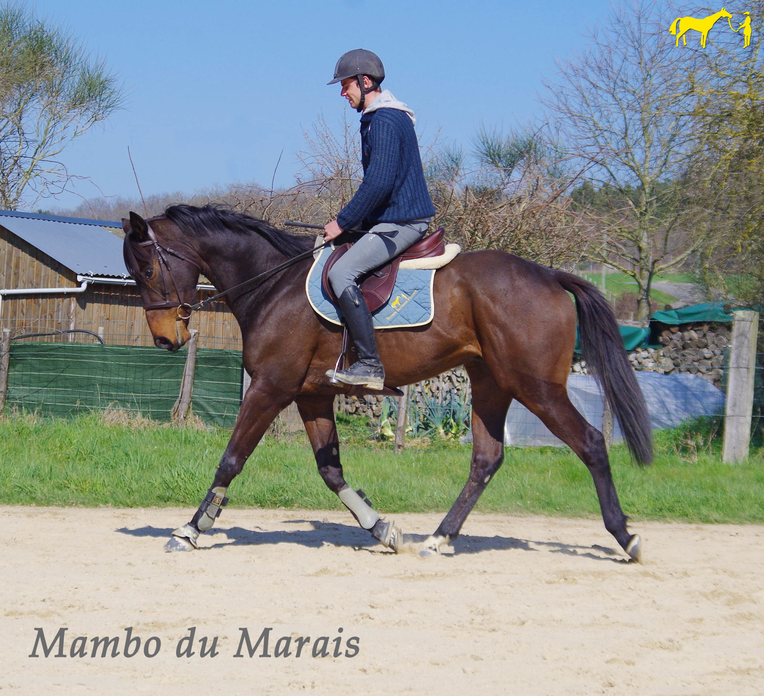 Découvrez la vidéo de Mambo du Marais au travail dans la carrière !