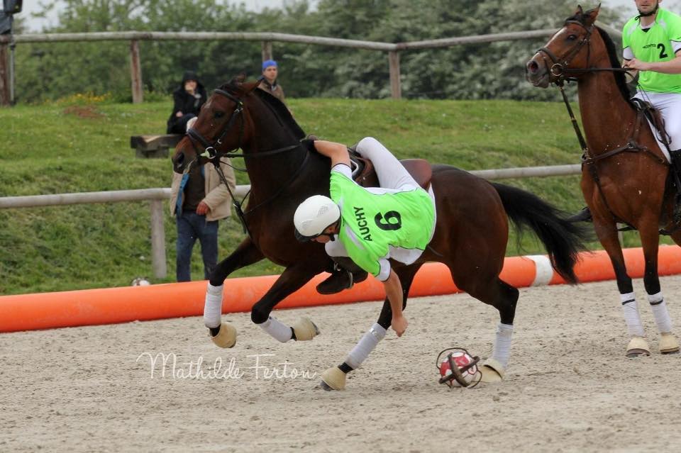 Akasandre, des hippodromes au horseball...