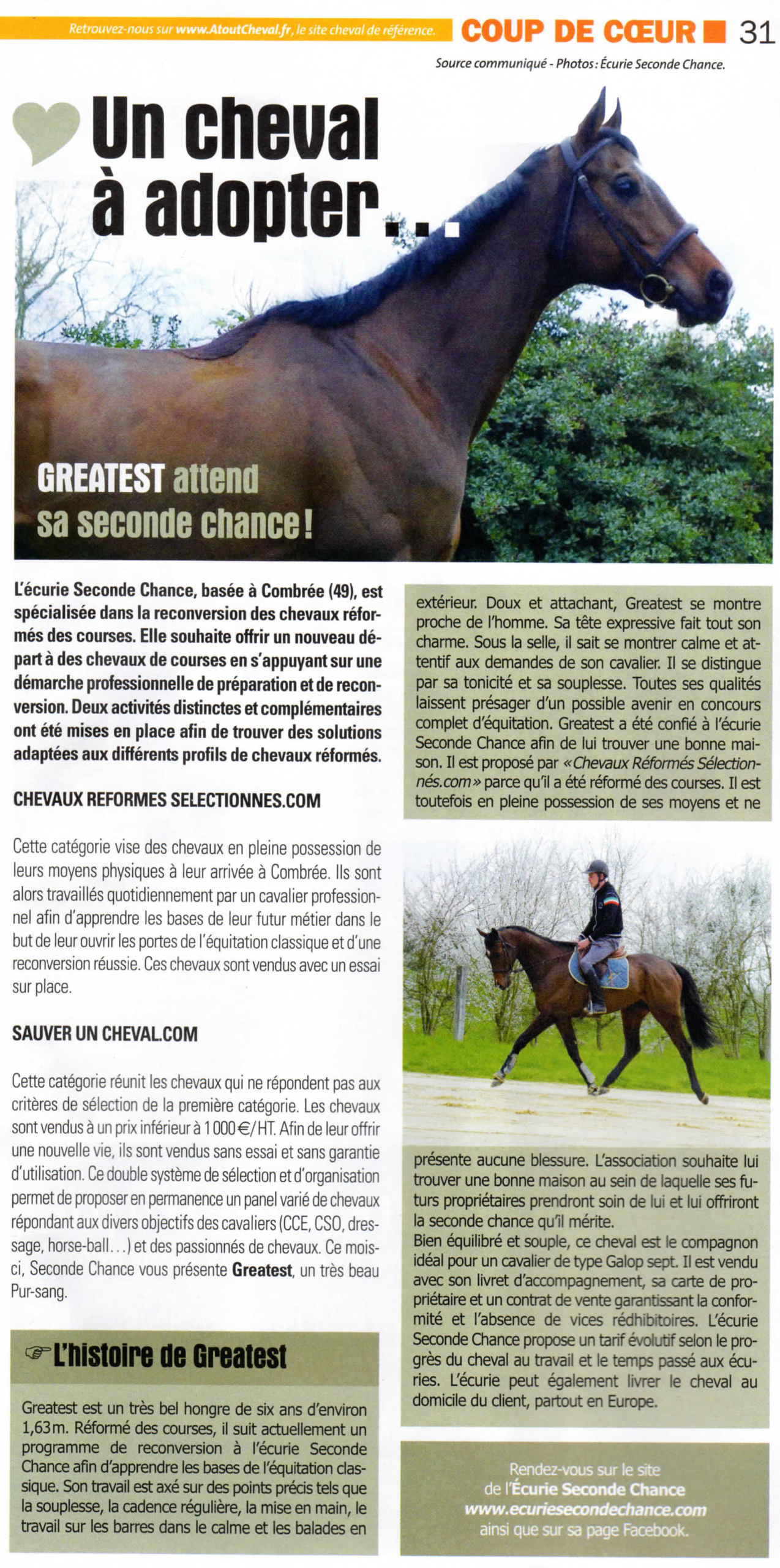 Greatest à l'honneur dans le numéro 48 d'Atout Cheval !