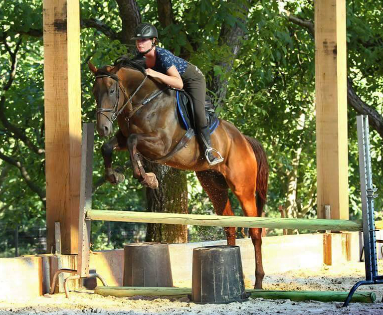 Une belle progression pour Bridger, notre ancien pensionnaire !