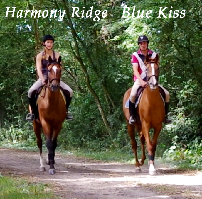 Découvrez la vidéo de Blue Kiss et Harmony Ridge en extérieur !