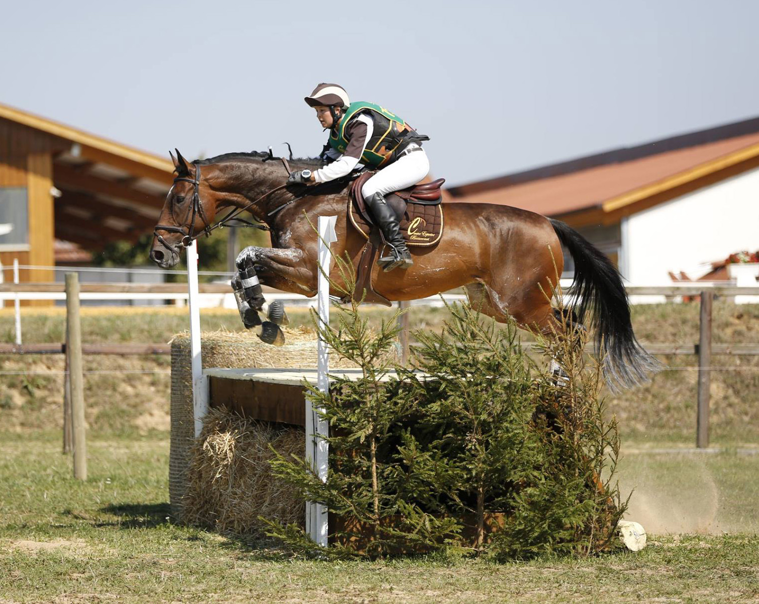 Un ancien pensionnaire de l’Ecurie Seconde Chance au CCI* d’Hambach (DE)