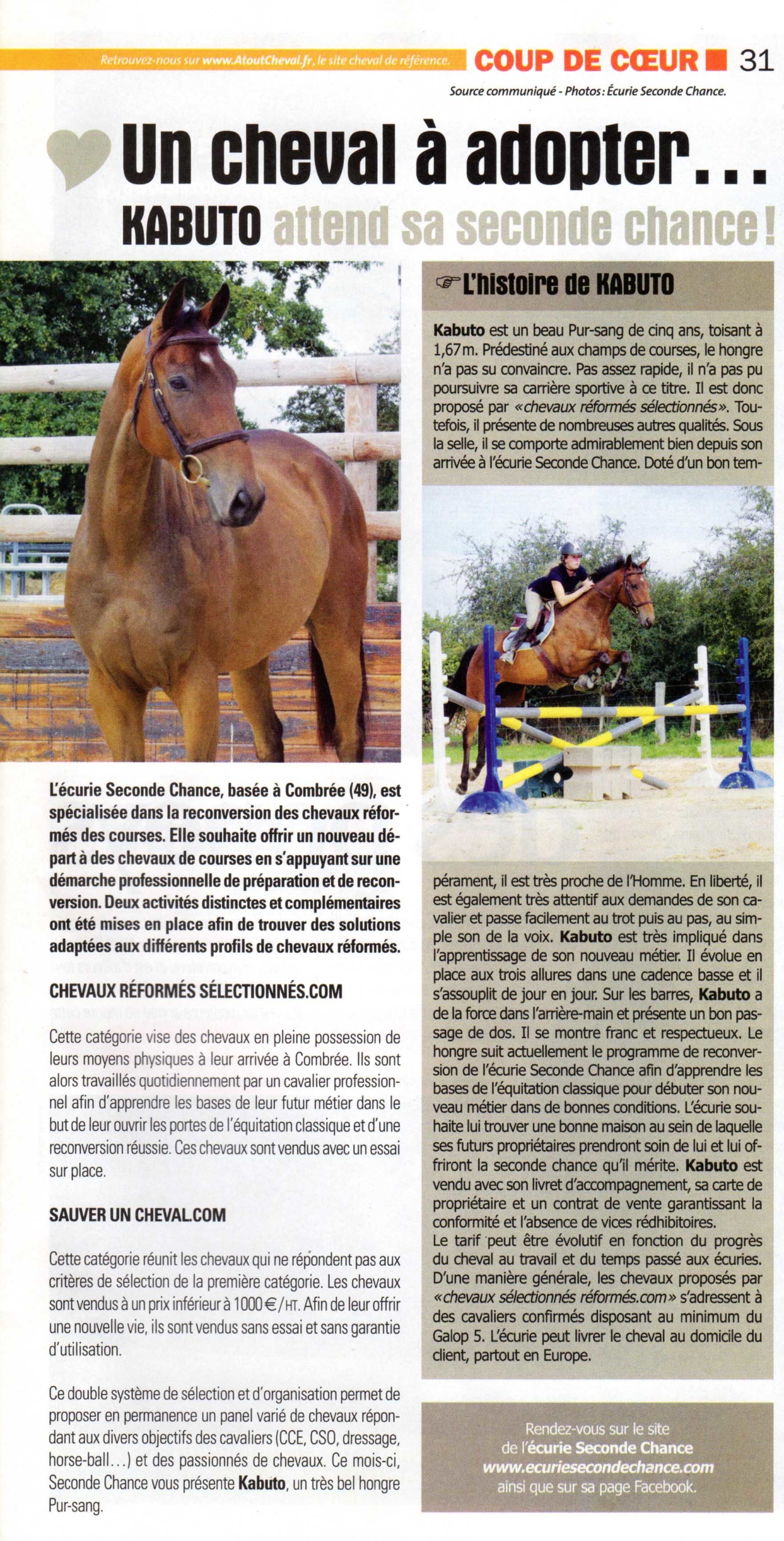 Kabuto à l'honneur dans le numéro 53 d'Atout Cheval !