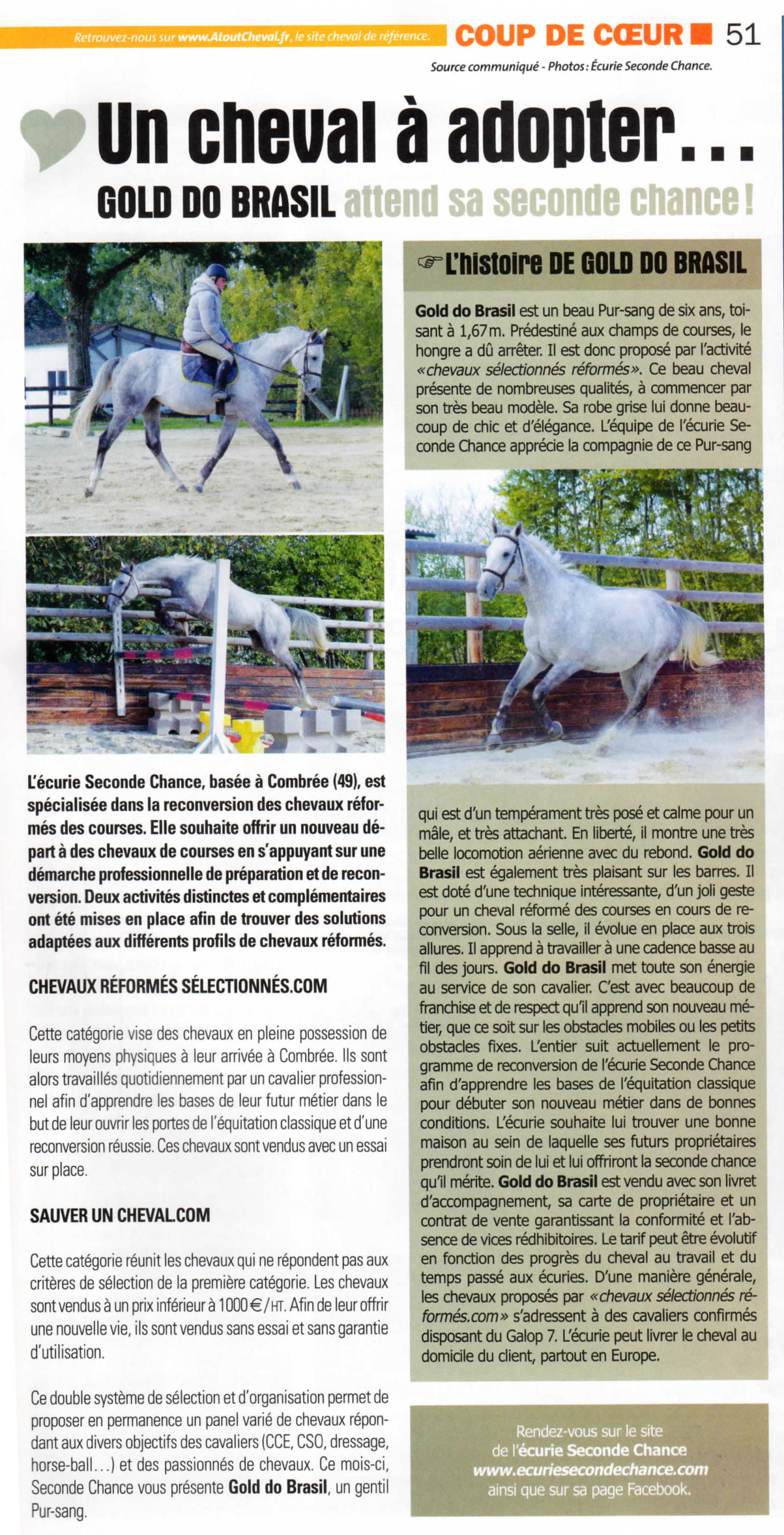 Gold do Brasil à l'honneur dans le numéros 54 d'Atout Cheval