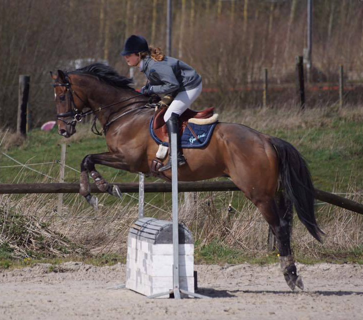 Greatest va bientôt débuter le concours complet avec sa nouvelle cavalière