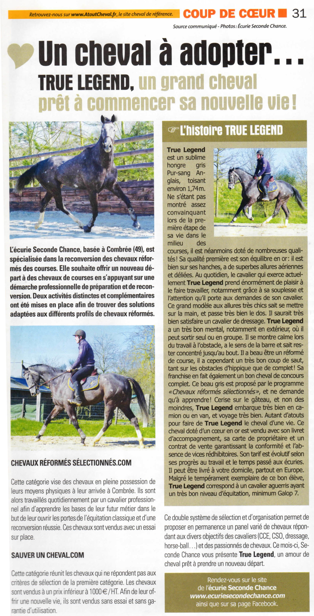 True Legend à l'honneur dans le numéros 57 d'Atout Cheval