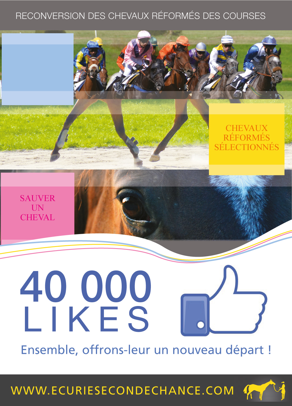 40 000 fans sur notre page facebook ! Merci de votre soutien au quotidien