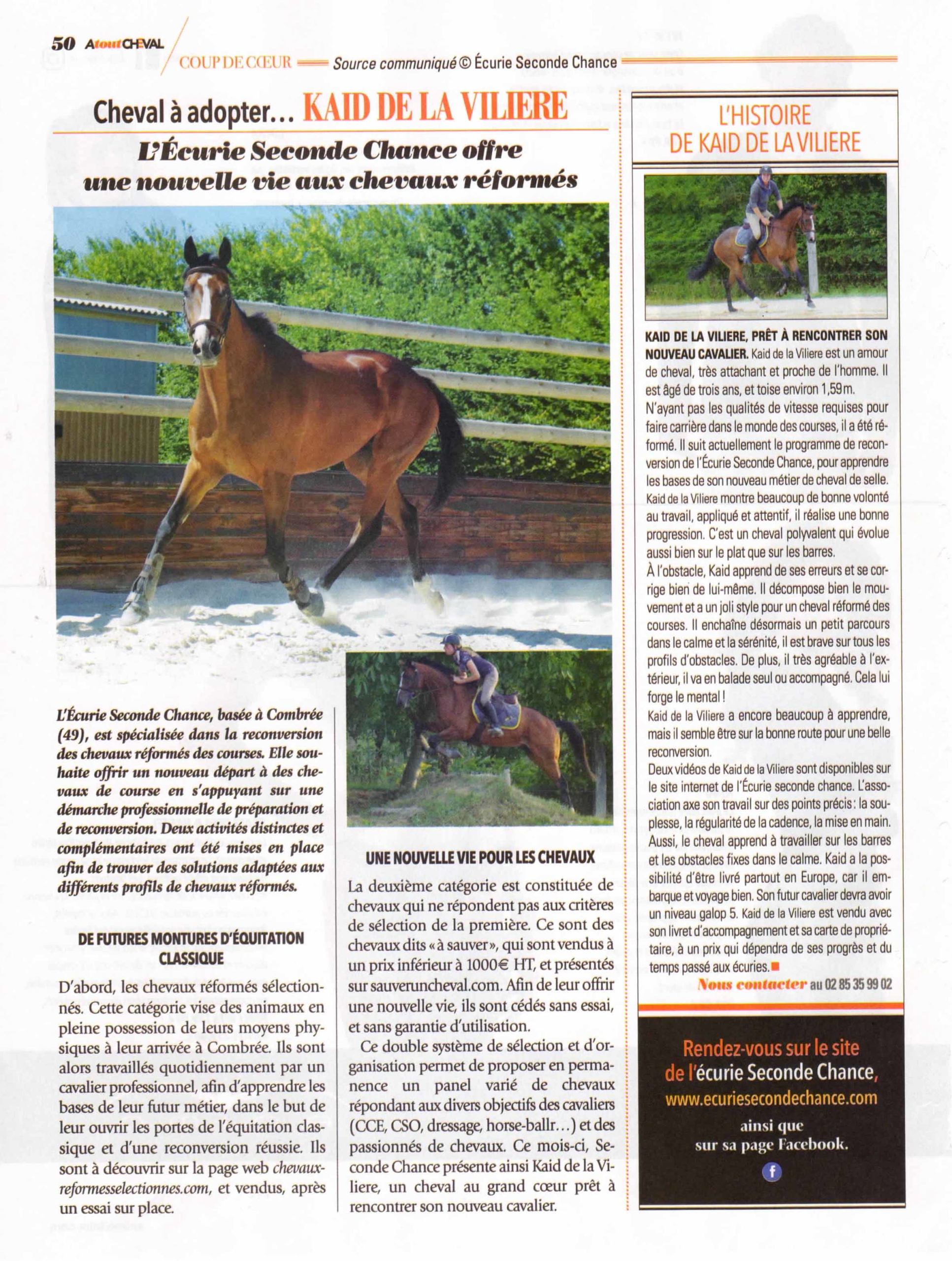 Kaid de la Viliere à l'honneur dans le numéros 62 d'Atout Cheval