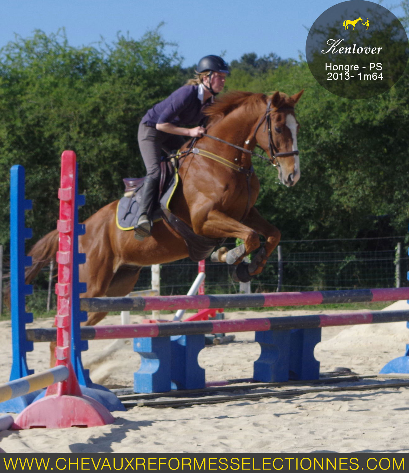 Une bonne séance sur les obstacles pour Kenlover !