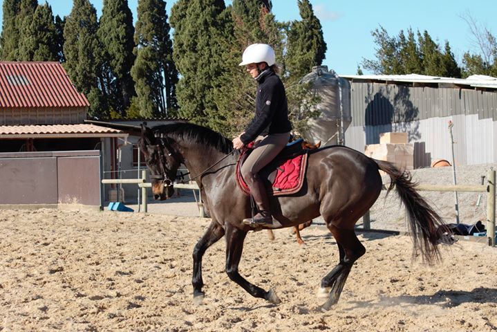 Antillia d'Or notre ancienne pensionnaire progresse de jour en jour avec sa nouvelle cavalière