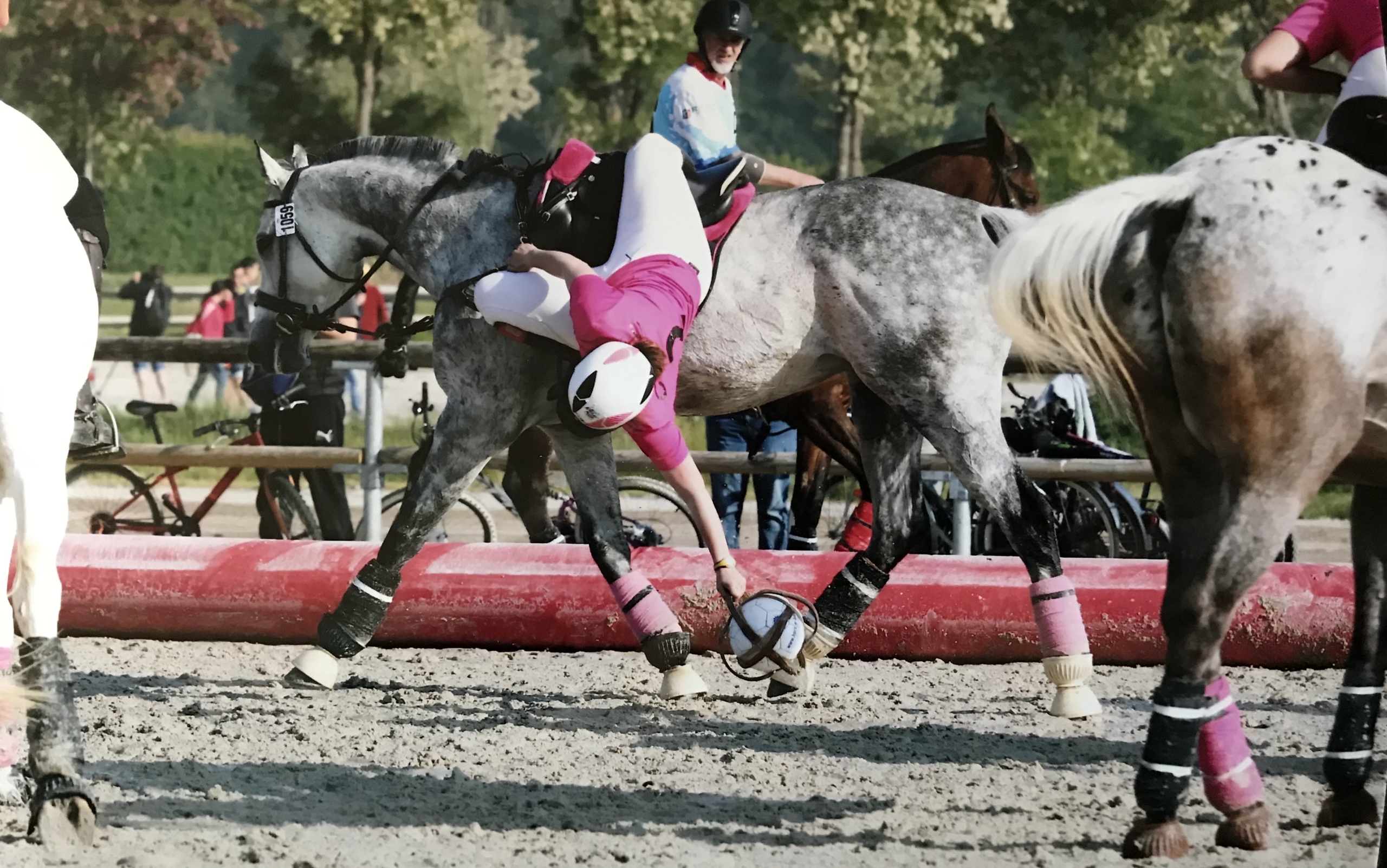 Lumine termine 3ème avec son équipe au championnat de france horseball