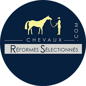 Chevaux Réformés Sélectionnés